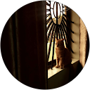 fida zakria profile picture